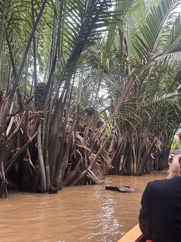 Photo from Mekong Delta, Vietnam