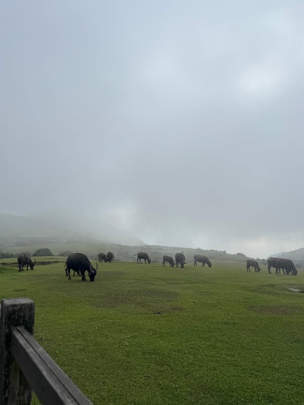 Photo from Yangmingshan, Taipei