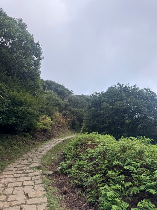 Photo from Yangmingshan, Taipei