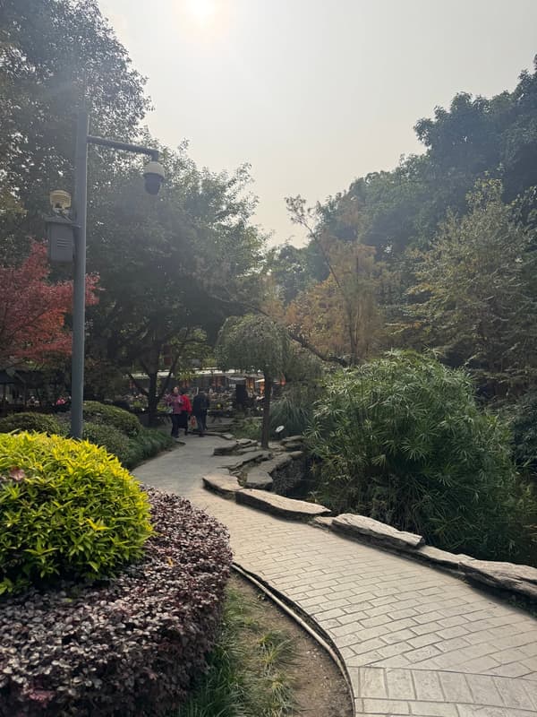 Photo from Chengdu, China
