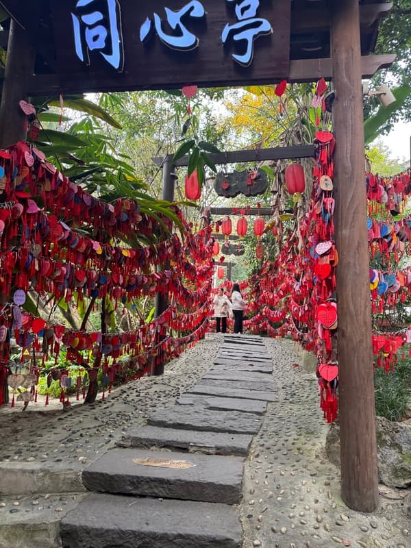 Photo from Chengdu, China