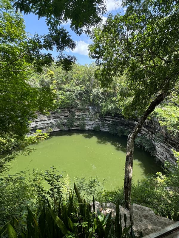 Photo from Cenote, Yucatán