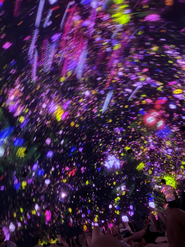 Photo from teamLab Planets, Tokyo