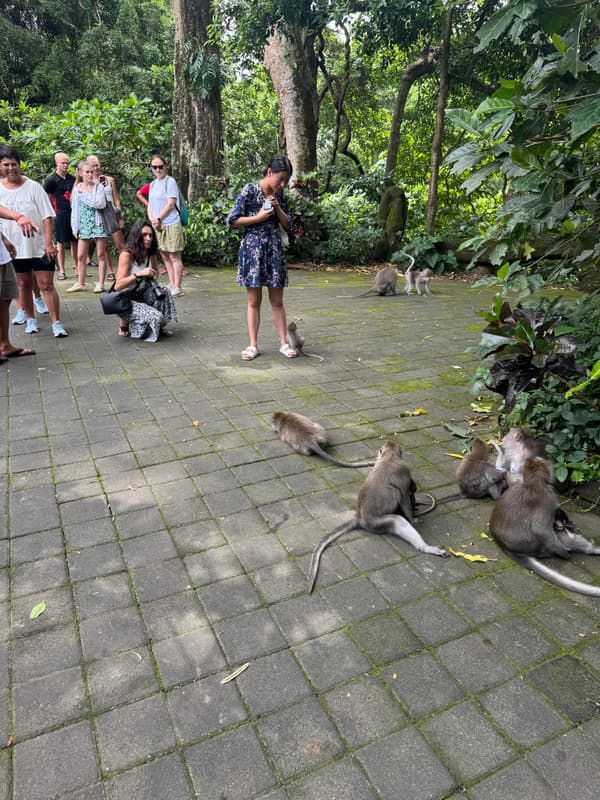 Photo from Sacred Monkey Forest, Ubud