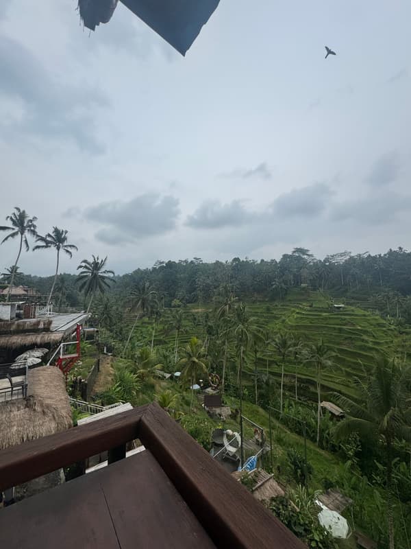 Photo from Tegallalang, Ubud